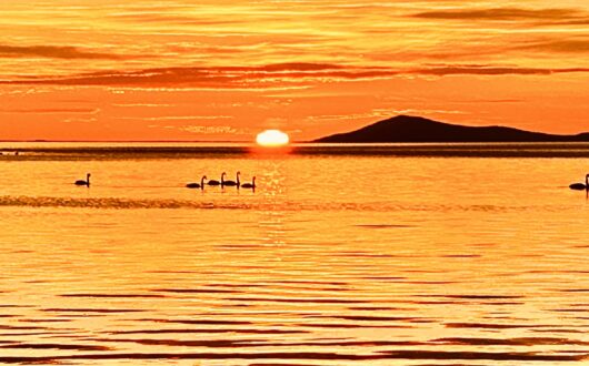 IMG_3876[37504]