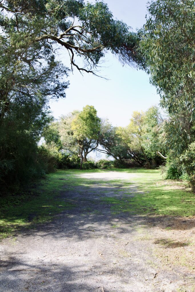 20250819_020416840_iOS