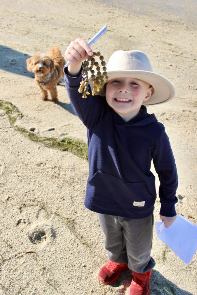 20250704_144730570_iOS