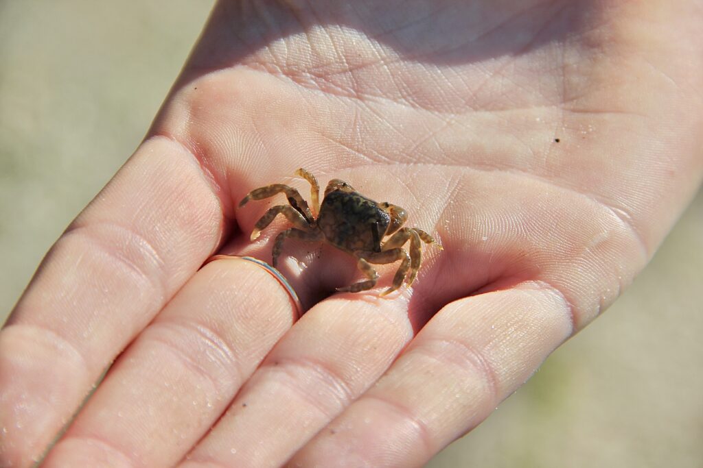 20250704_145946320_iOS