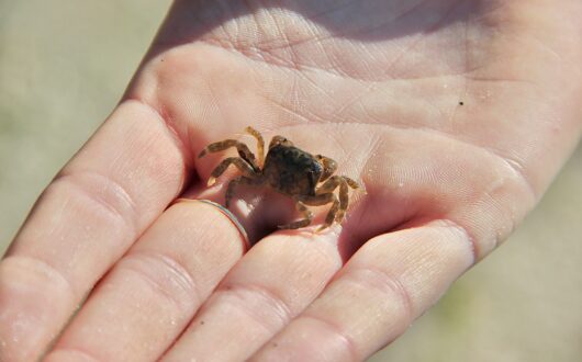 20250704_145946320_iOS