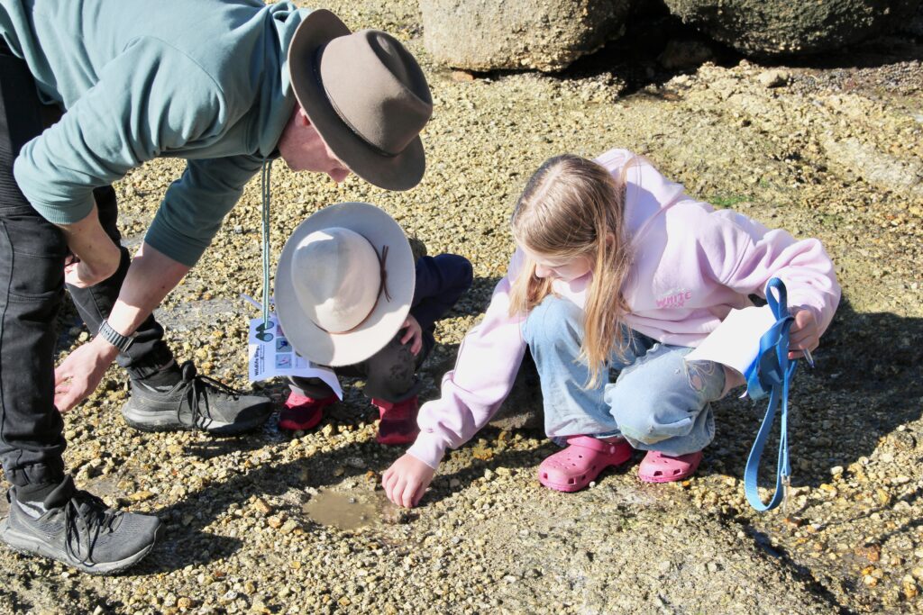 Kids Activities Wilsons Prom Holiday Park