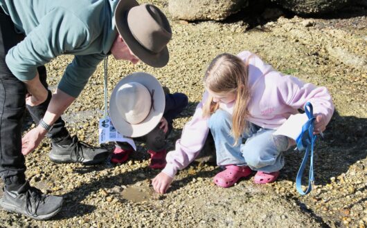 Kids Activities Wilsons Prom Holiday Park