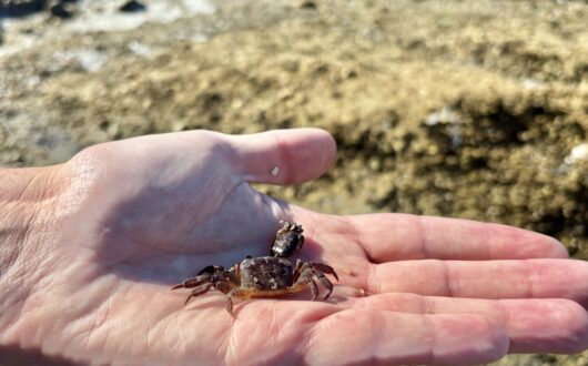 20250705_021615448_iOS