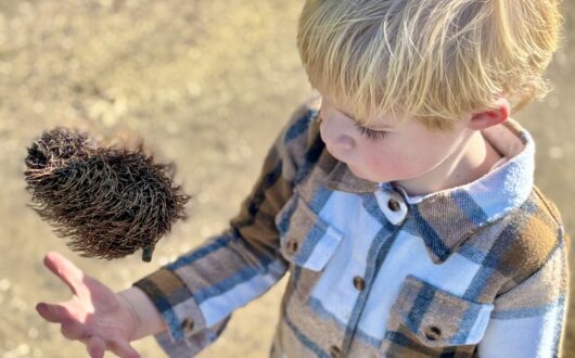 20250705_024022460_iOS