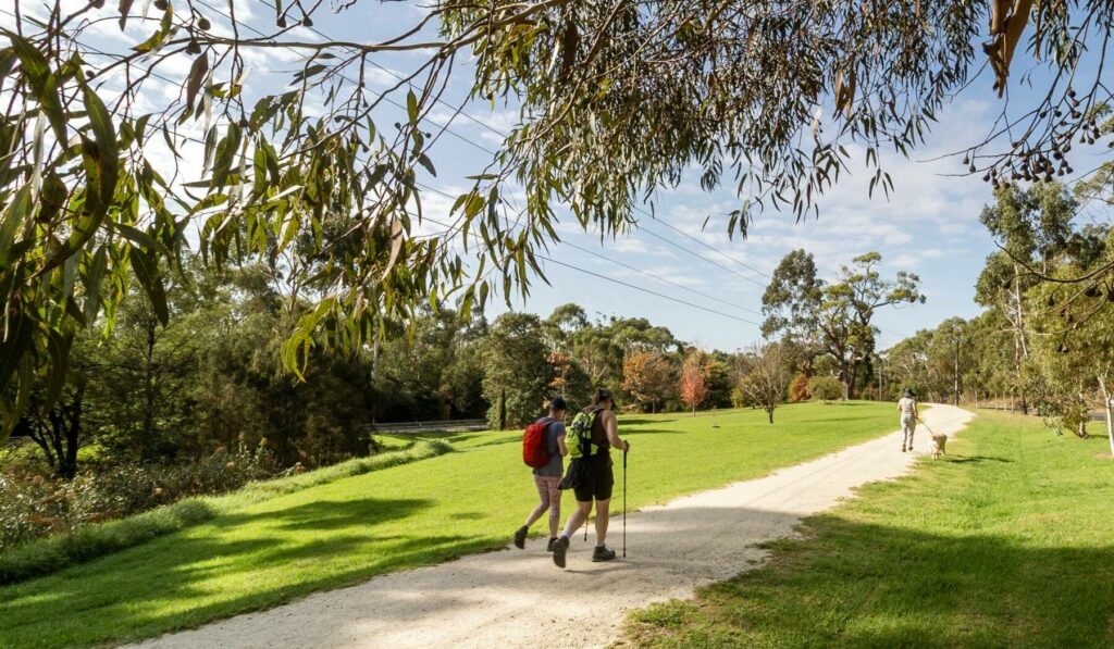 Great-Southern-Rail-Trail-hikers-and-dog-walker-on-trail-near-Koonwarra_a4c6e964b3bbb5d614accc5299743405