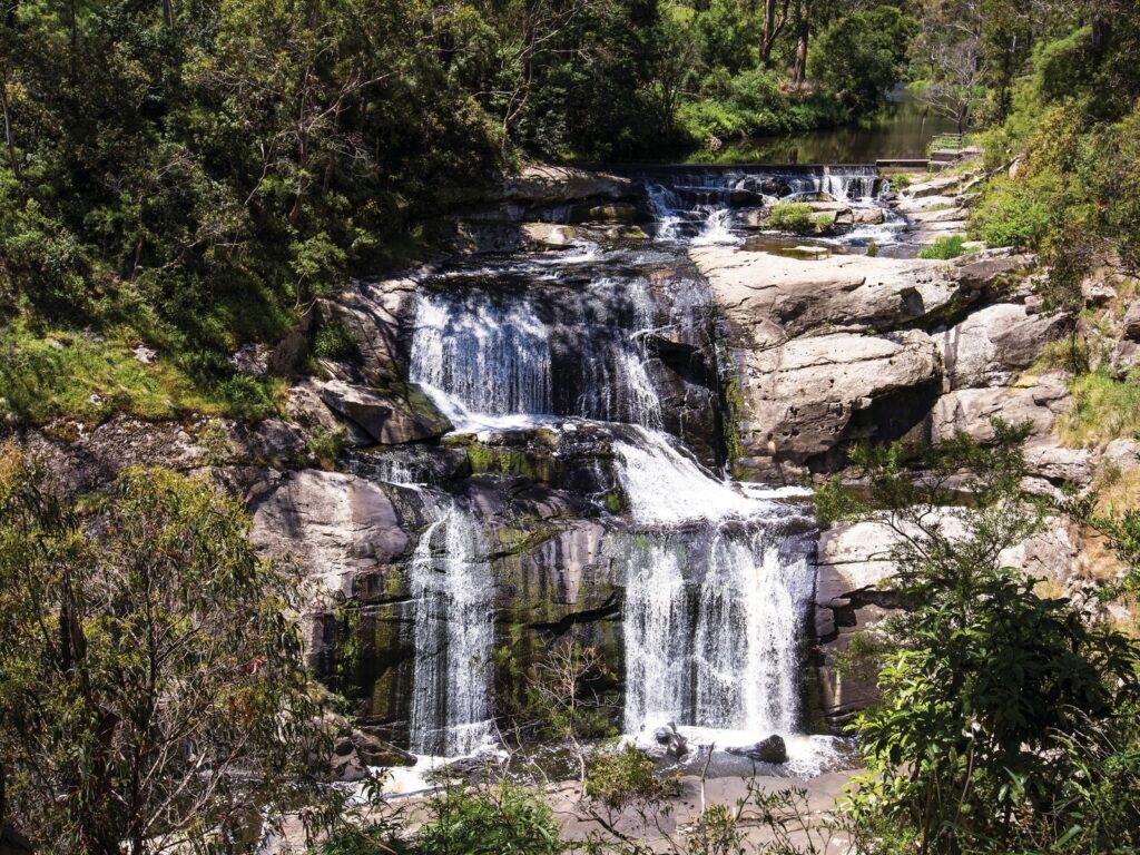 Agnes Falls South Gippsland