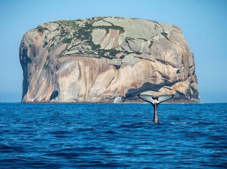 skull-rock-and-whale-tail-sept-2022